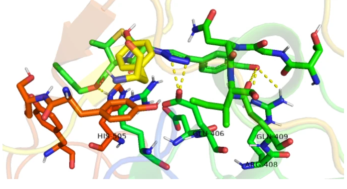 Publication image: Bag*, S. S.; Baishya, H. J.; Sinha, S.. In silico investigation of β-lactams as inhibitors of the spike protein receptor binding domain (RBD) of SARS-CoV-2. Discover Chemistry 2 (1), 275, 2025